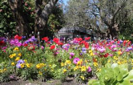 Keirunga Gardens