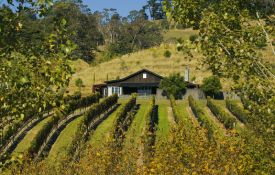 Hawke's Bay Wineries