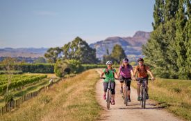 Hawke's Bay Cycle Trails